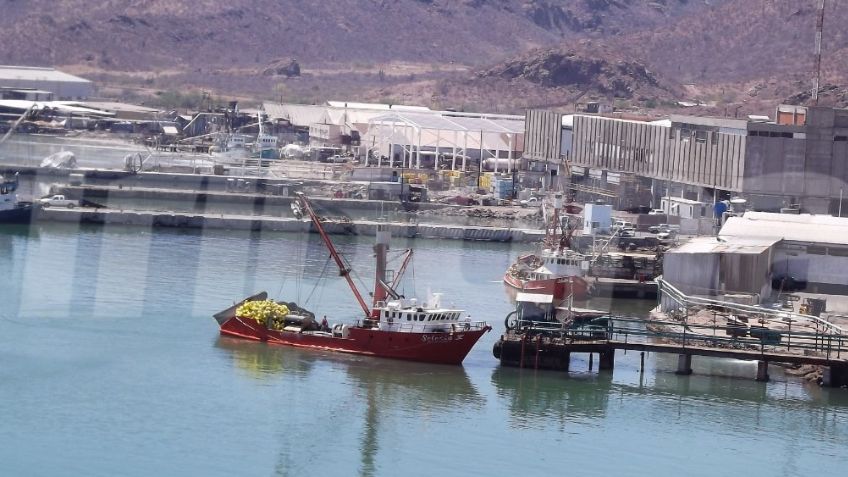 Guaymas: Ambientalistas piden sanciones a empresas pesqueras por el derrame de aceite y desperdicios
