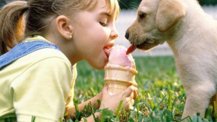Lindas noticias: Tus hijos comienzan a tener memoria desde los 2 años