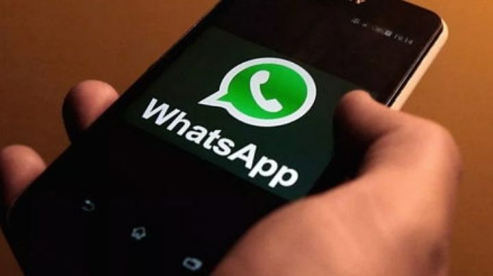 Conoce a 'Inés', el asistente virtual creado por el INE y WhatsApp para brindarte información