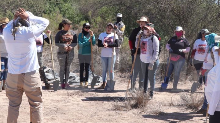 Habitantes de Guaymas realizan extensa limpieza a la Bahía Catalina