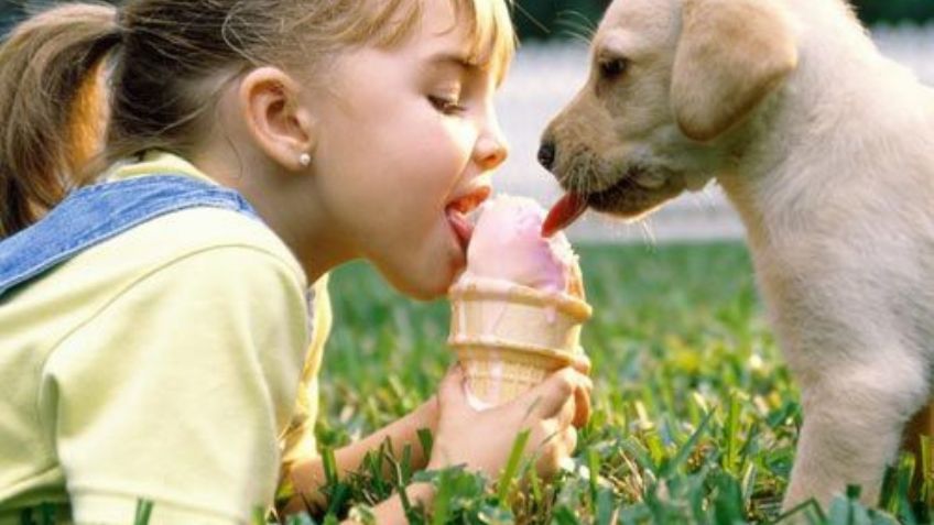 Lindas noticias: Tus hijos comienzan a tener memoria desde los 2 años