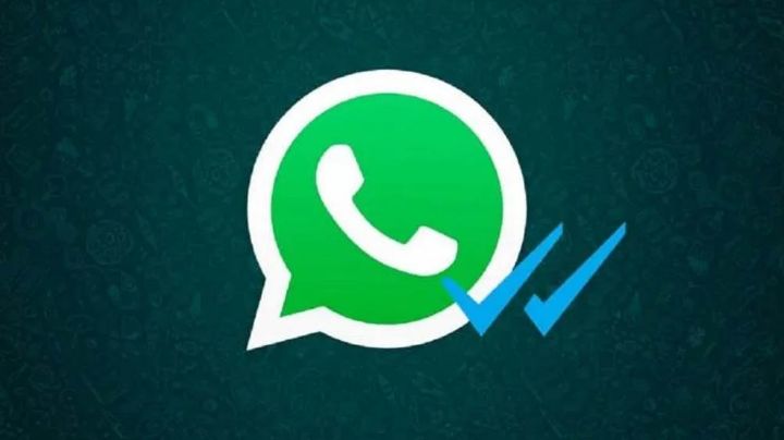 Descubre si te están ignorando en WhatsApp: Este truco mostrará si leyeron tu mensaje