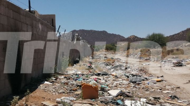 Vecinos de Hermosillo utilizan calle como basurero clandestino; hay animales muertos