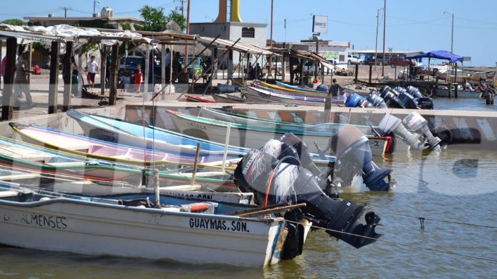 Pescadores de Guaymas optan por otras ocupaciones ante veda de especies marinas