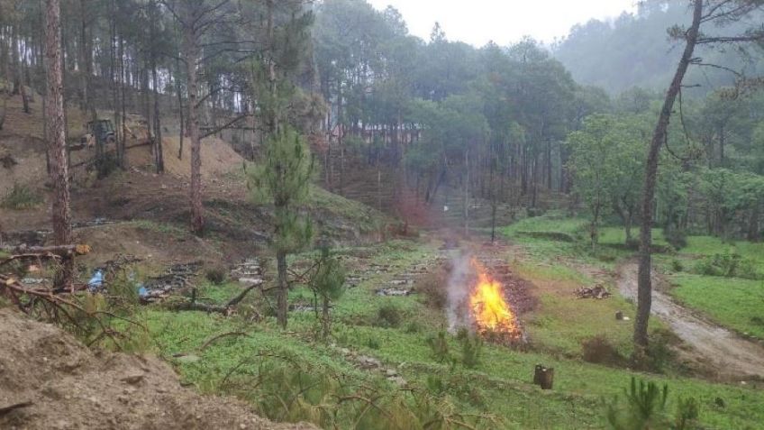 FUERTES IMÁGENES: Familias queman cadáveres en un bosque; los crematorios están desbordados