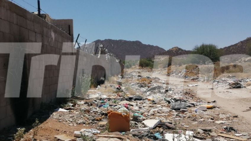 Vecinos de Hermosillo utilizan calle como basurero clandestino; hay animales muertos