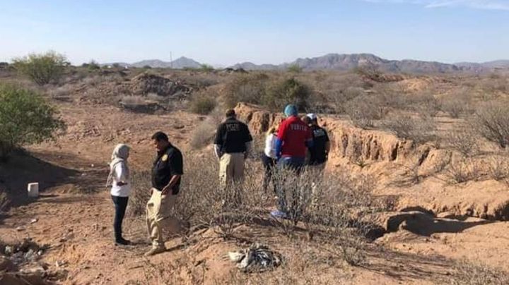 Hallan cuerpo de José Guadalupe en fosa clandestina de Guaymas; desapareció desde 2019