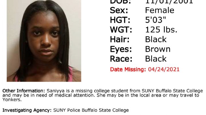 Lo que se sabe de la misteriosa desaparición de Saniyya Dennis en las Cataratas del Niagara
