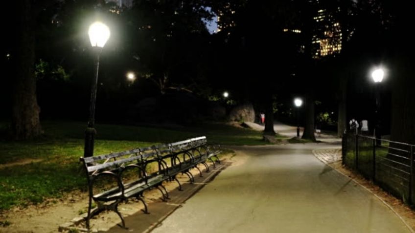 Ataque en Central Park: Policía busca a un violador que utilizaba "joyería extraña"