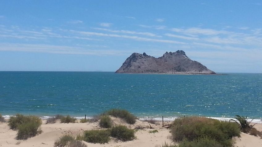 Trágico fin de semana: Pescador descubre cadáver flotante en aguas de Bahía de Kino
