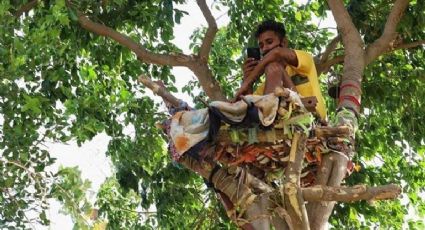 Llevan al hospital a enfermo Covid-19; vivió 11 días en un árbol para no contagiar a sus padres