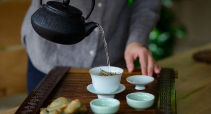 Conoce los beneficios del té blanco y comienza a beberlos todos los días