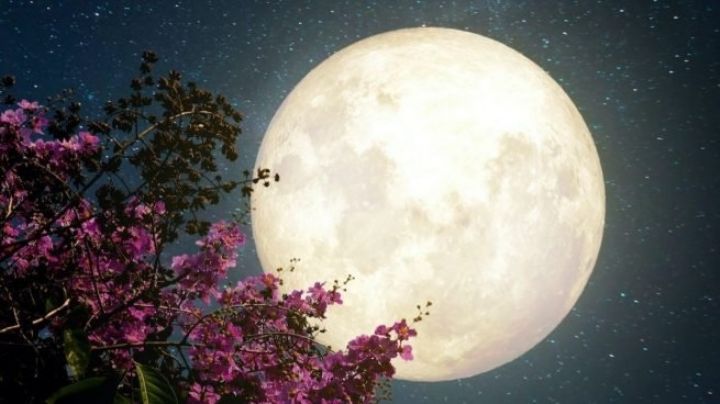 Prepárate para el 26 de mayo: ¿Cómo afectará la superluna de flores a los signos zodiacales?