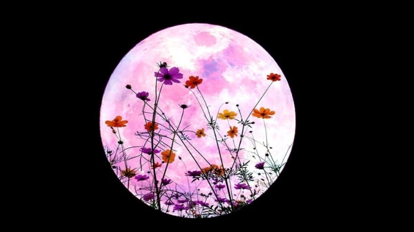 Superluna de flores: Así es la forma en la que puede ver este fenómeno en México