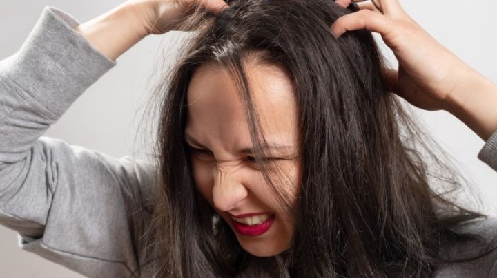 ¿Se pueden evitar los piojos? Esta es la forma en la que los alejarás de tus hijos