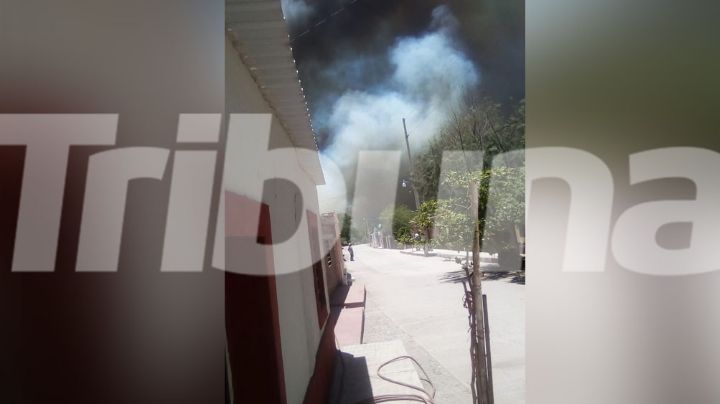 Quema de mezquite en Movas desata el pánico en habitantes; no es la primera vez