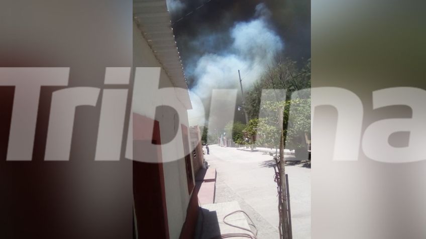 Quema de mezquite en Movas desata el pánico en habitantes; no es la primera vez