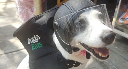 ¡No lo logró! 'Perrita' viral que trabaja en Uber Eats no llega a la meta para apoyar albergue