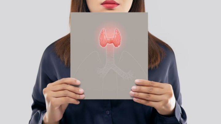 Mexicanos desarrollan página de Internet para detectar problemas en la tiroides