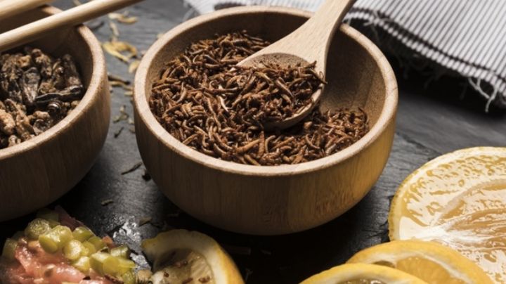 ¡Deliciosos, crujientes y nutritivos! Conoce las ventajas de comer insectos