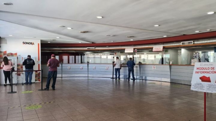 ¿Ya pagaste tu revalidación vehicular? La fecha limite para hacerlo sin recargos se aproxima