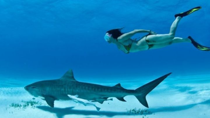 Prepara tus próximas vacaciones y diviértete con las mejores actividades de Xcaret