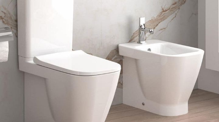 ¡Tecnología de vanguardia! Crean baño inteligente: toma FOTOS a las heces para analizarlas