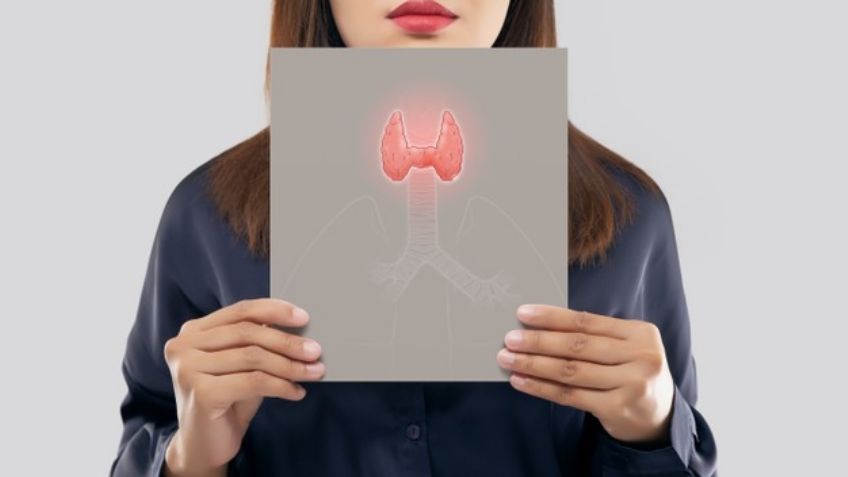 Mexicanos desarrollan página de Internet para detectar problemas en la tiroides