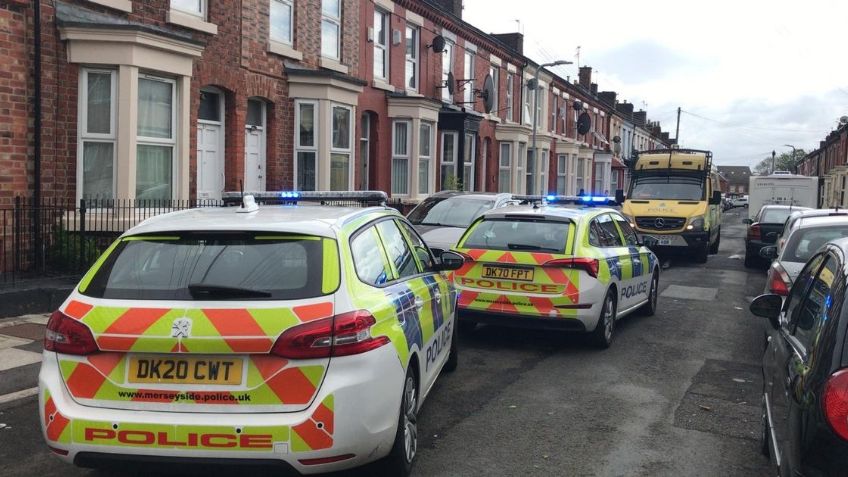 Mujer termina en el hospital tras ser atacada por dos perros estaban peleando entre sí