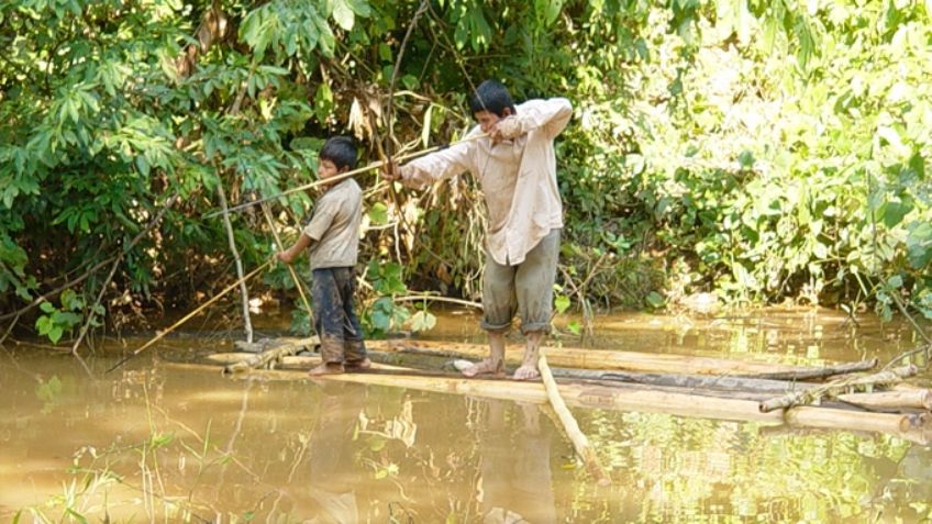 Tsimane, la tribu amazónica con el "corazón más sano que se haya estudiado" por científicos