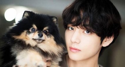 ¿Amas el K-Pop? Inspírate en la música coreana con estos nombres para perros basados en BTS