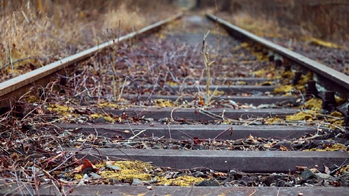 Hallan cuerpo desmembrado en vías del tren; se desconoce si era hombre o mujer