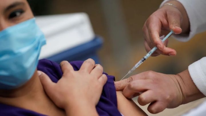 ¡Asombroso! Células madre ayudarían a la creación de nuevas vacunas contra el Covid-19