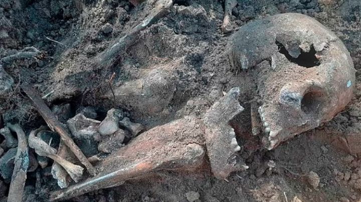 Aterrador: Encuentran huesos de 500 mujeres y niños en un campo de concentración Nazi