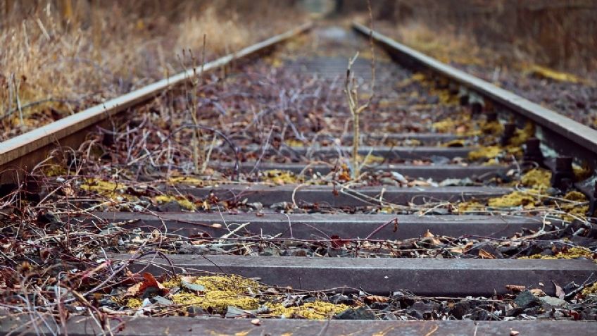 Hallan cuerpo desmembrado en vías del tren; se desconoce si era hombre o mujer