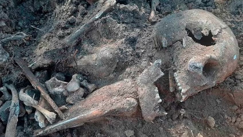 Aterrador: Encuentran huesos de 500 mujeres y niños en un campo de concentración Nazi