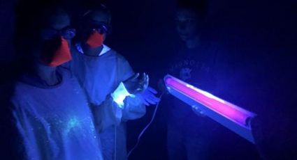 Expertos piden no desinfectar el hogar con luz ultravioleta para eliminar al Covid-19