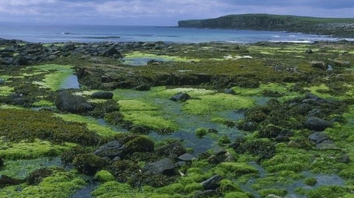Tragedia: Guardia Costera rescata el cadáver de un pescador de 64 años que cayó al mar