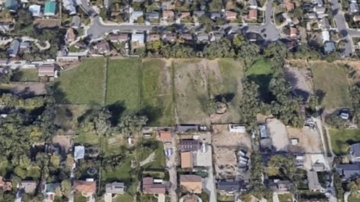 ¿Harto de su vecina? Google Maps revela "épico hallazgo"; escriben insulto en el pasto