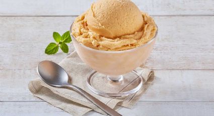 Refresca tus tardes con este helado de mamey, que te robará el aliento con su gran sabor