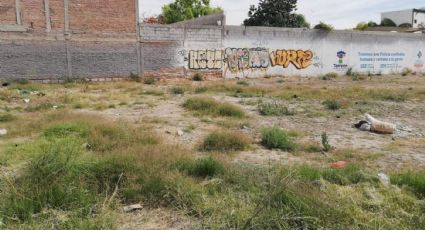 FUERTES IMÁGENES: ¡Macabro! Desollado y atado; así hallan a un 'embolsado' en un baldío