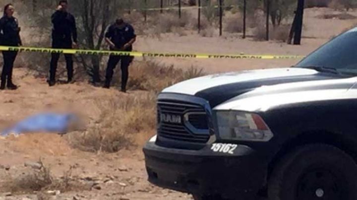 Recrudece la violencia en Caborca: Ejecutan a uno en campo agrícola de la y Griega