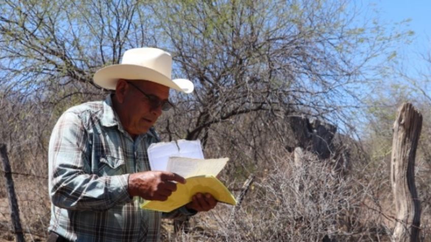 Sedatu avanza en deslinde de tierras Yaquis, productores presentan evidencias de propiedad