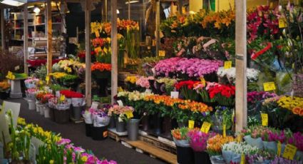 Productores de flores prevén ventas de 10mmdp el próximo Día de las Madres