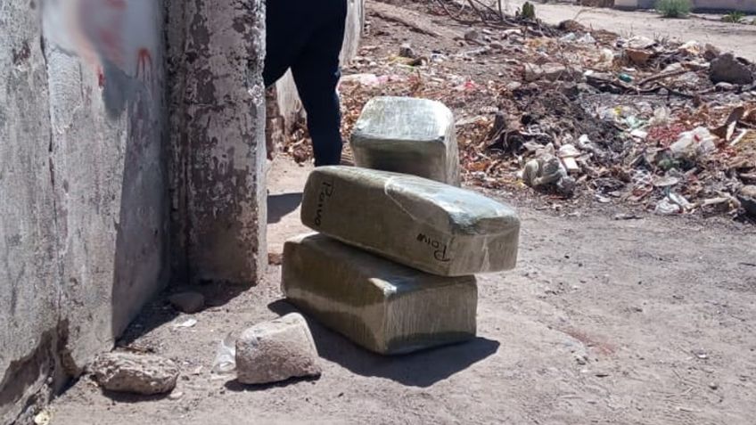 Autoridades confiscan 37 kilos de marihuana en Navojoa; estaban ocultos en casa abandonada