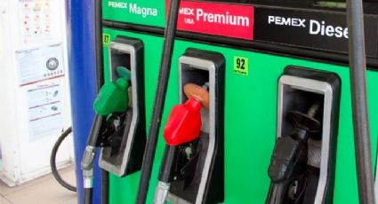 Magna y Diesel reciben aumento de estímulo fiscal al IEPS; esto pagarás ahora por cada litro