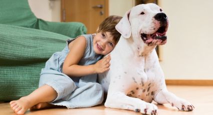 Demuestra la grandeza de tu mascota con estos nombres para perros grandes