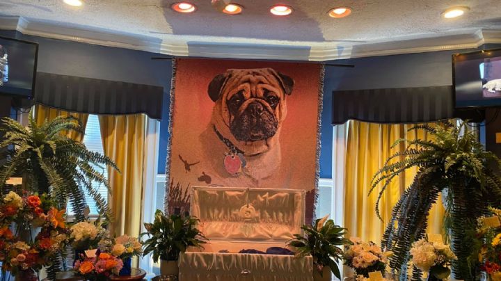 FOTOS: Un pug tiene un recibe un funeral al estilo humano; se vuelve viral
