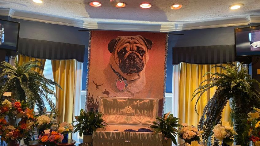 FOTOS: Un pug tiene un recibe un funeral al estilo humano; se vuelve viral