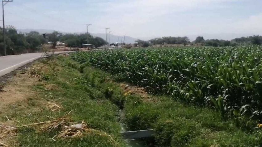 Jornaleros descubren a mujer en canal y la rescatan; ya estaba muerta y tenía signos de tortura